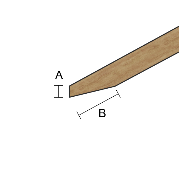 Parallell längd